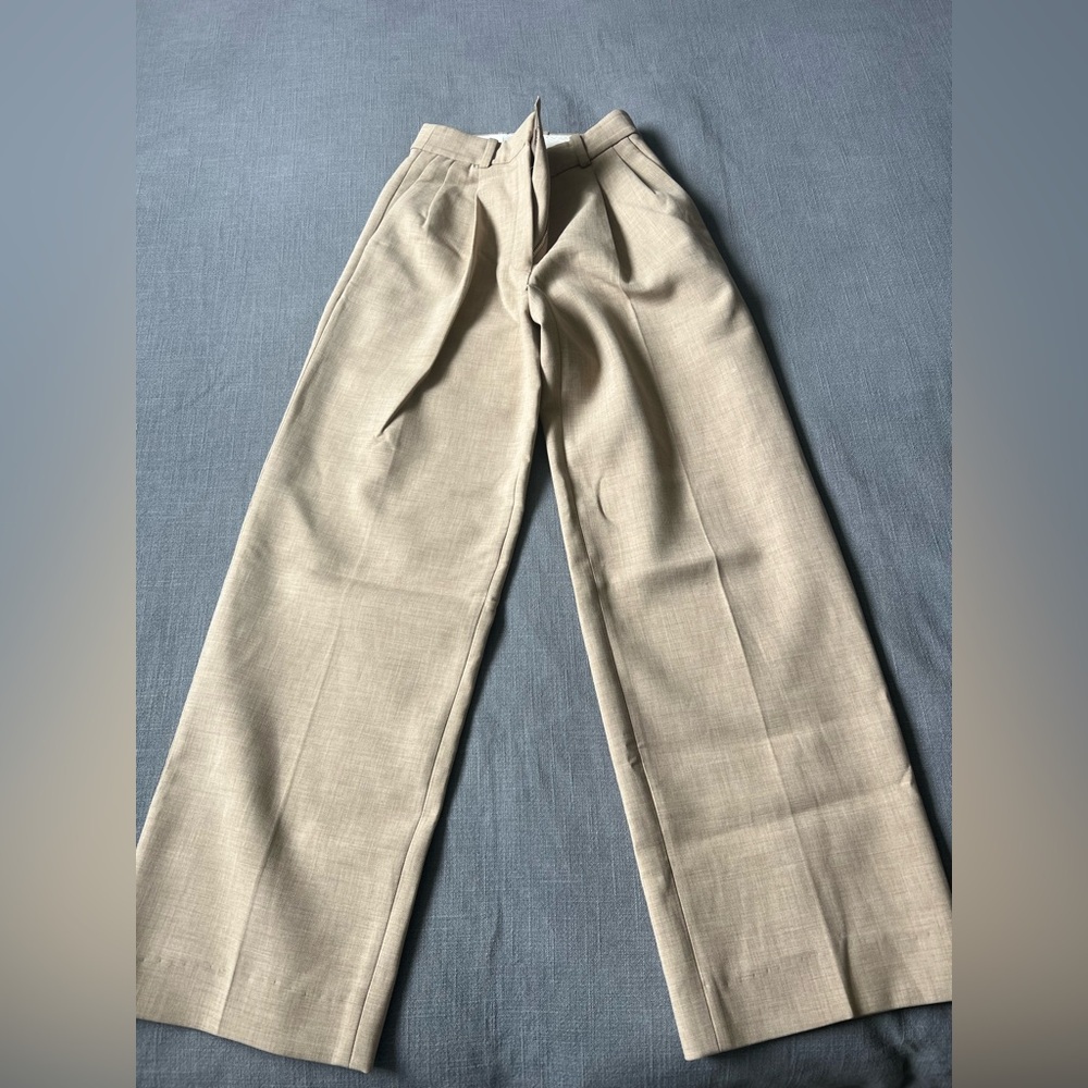 Aritzia Beige Wide-Leg Pleated Dress Pants